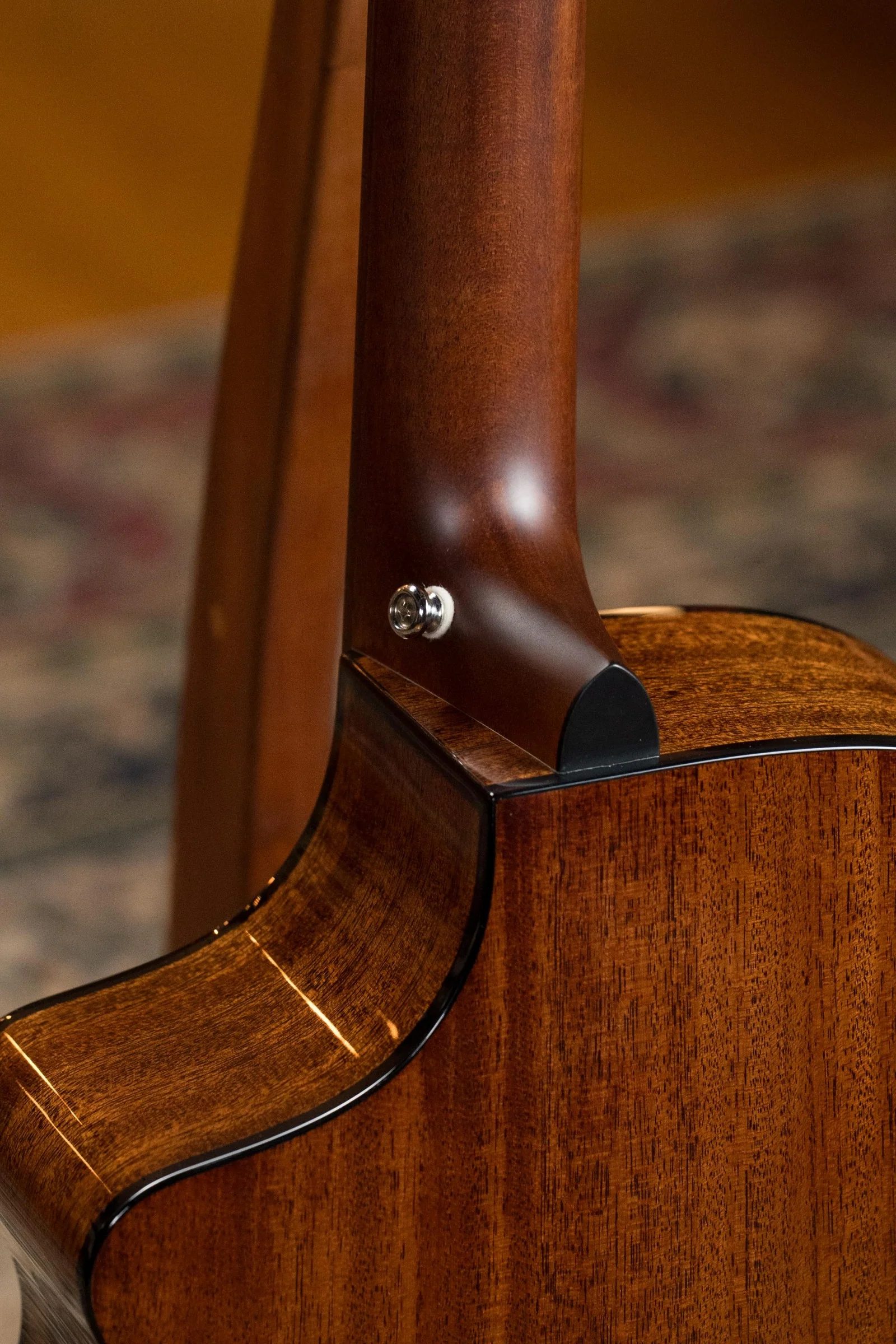 Breedlove Discovery Series Red Cedar/African Mahogany Nylon Cutaway Concert Acoustic Guitar #1581 - Image 13