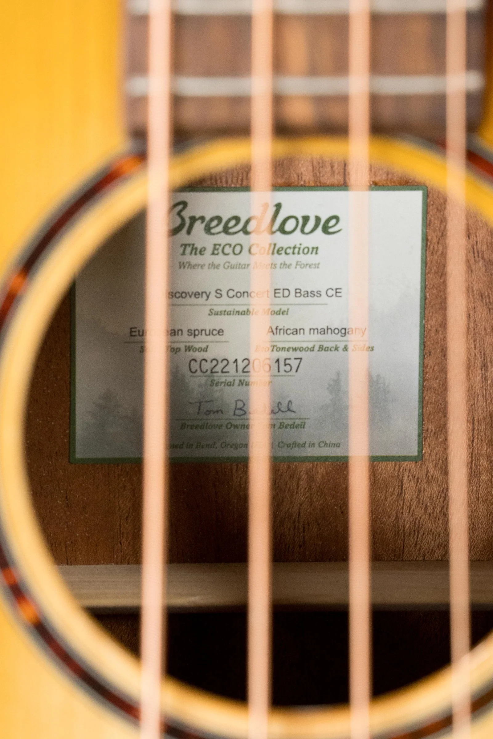 Breedlove Discovery Series Spruce/Mahogany Edgeburst Cutaway Concert Bass Guitar w/Electronics #6157 - Image 3