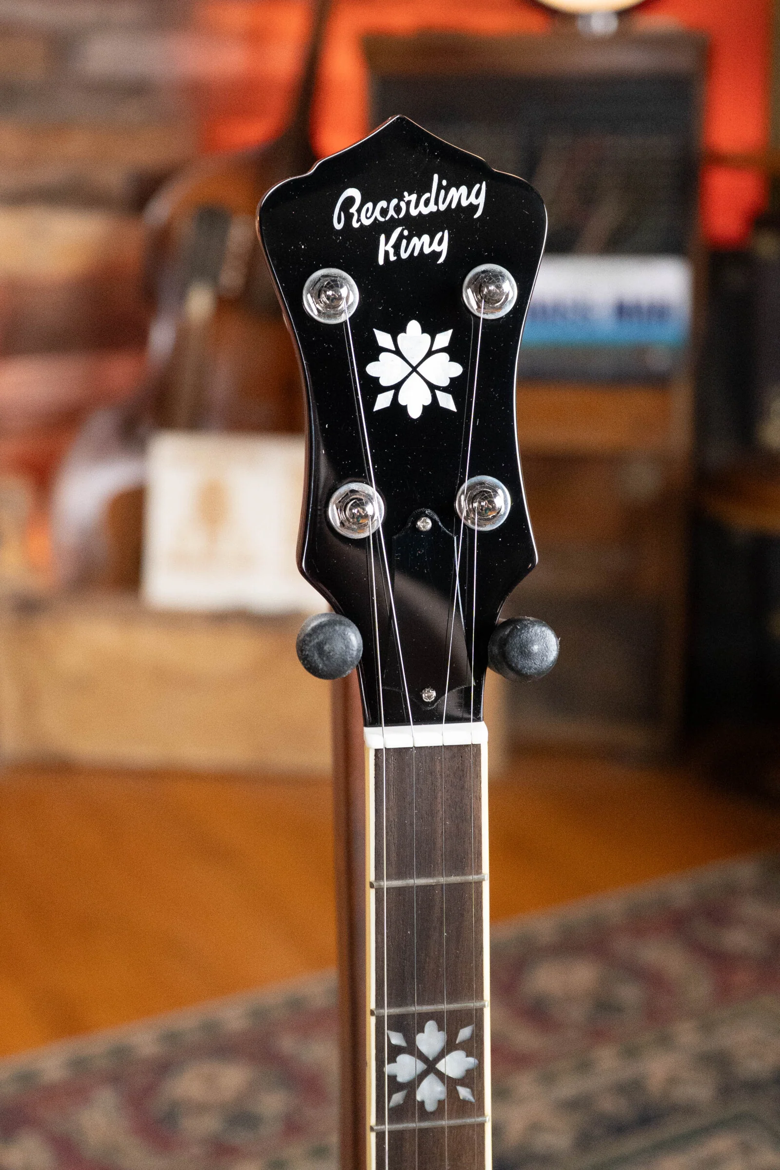 Recording King RK-R20 Songster Resonator Banjo #0191 - Image 6