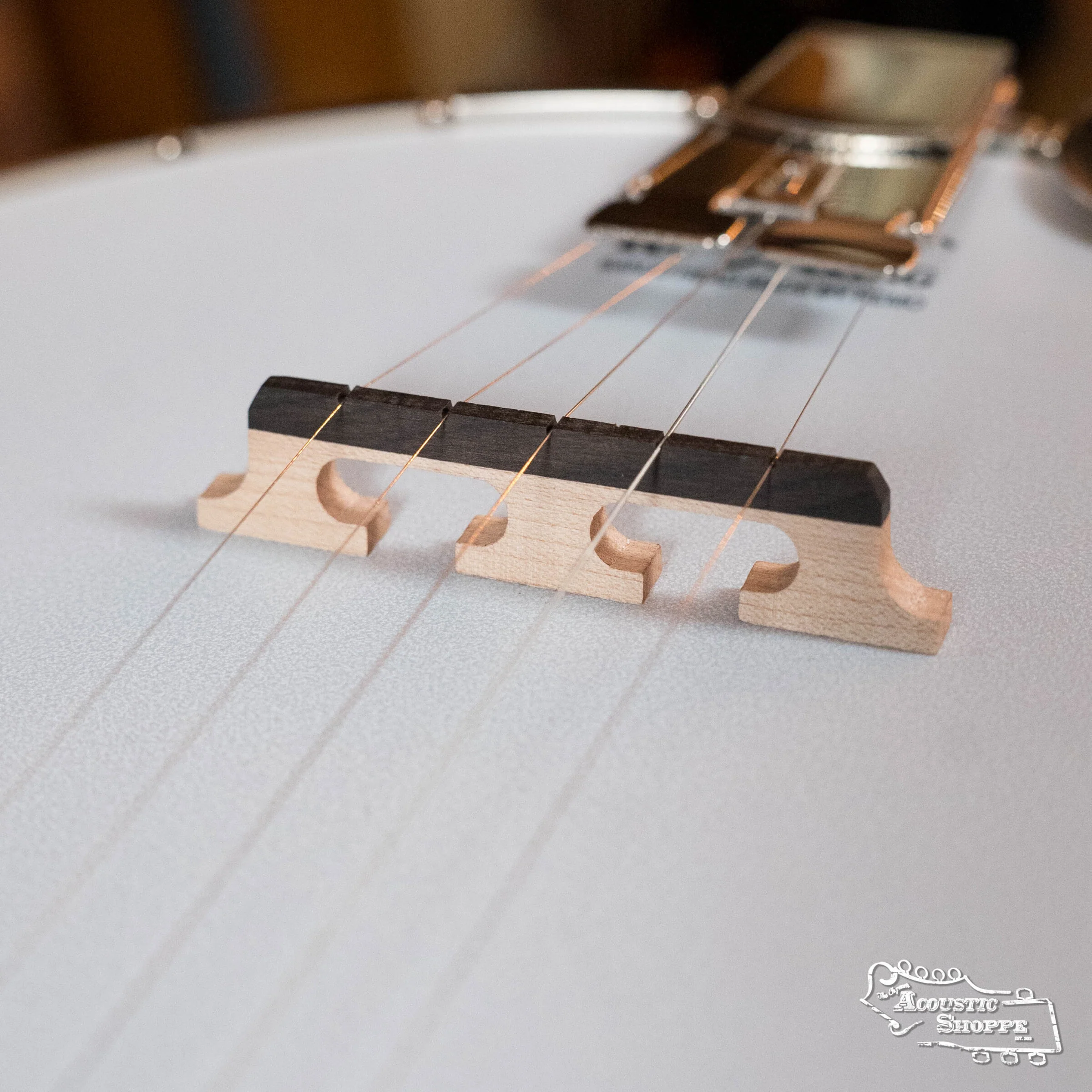 Recording King RK-R35-BR Madison Resonator Banjo with Tone Ring #0512 - Image 16