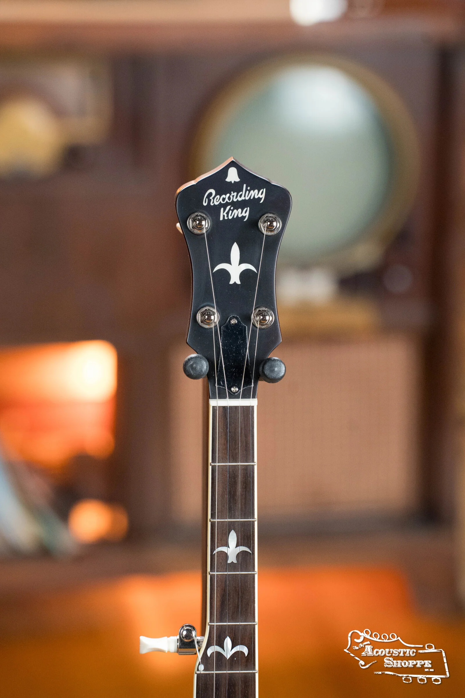 Recording King RK-R35-BR Madison Resonator Banjo with Tone Ring #0512 - Image 7