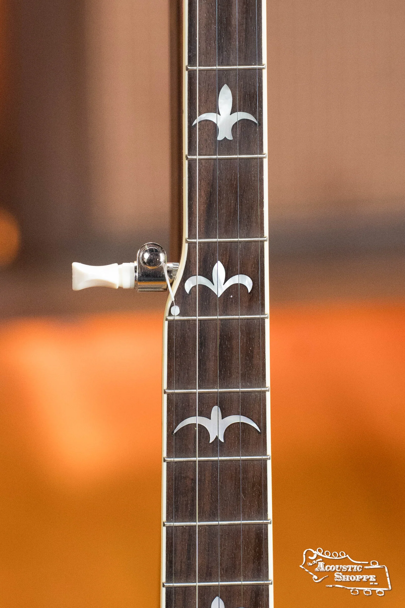 Recording King RK-R35-BR Madison Resonator Banjo with Tone Ring #0512 - Image 8