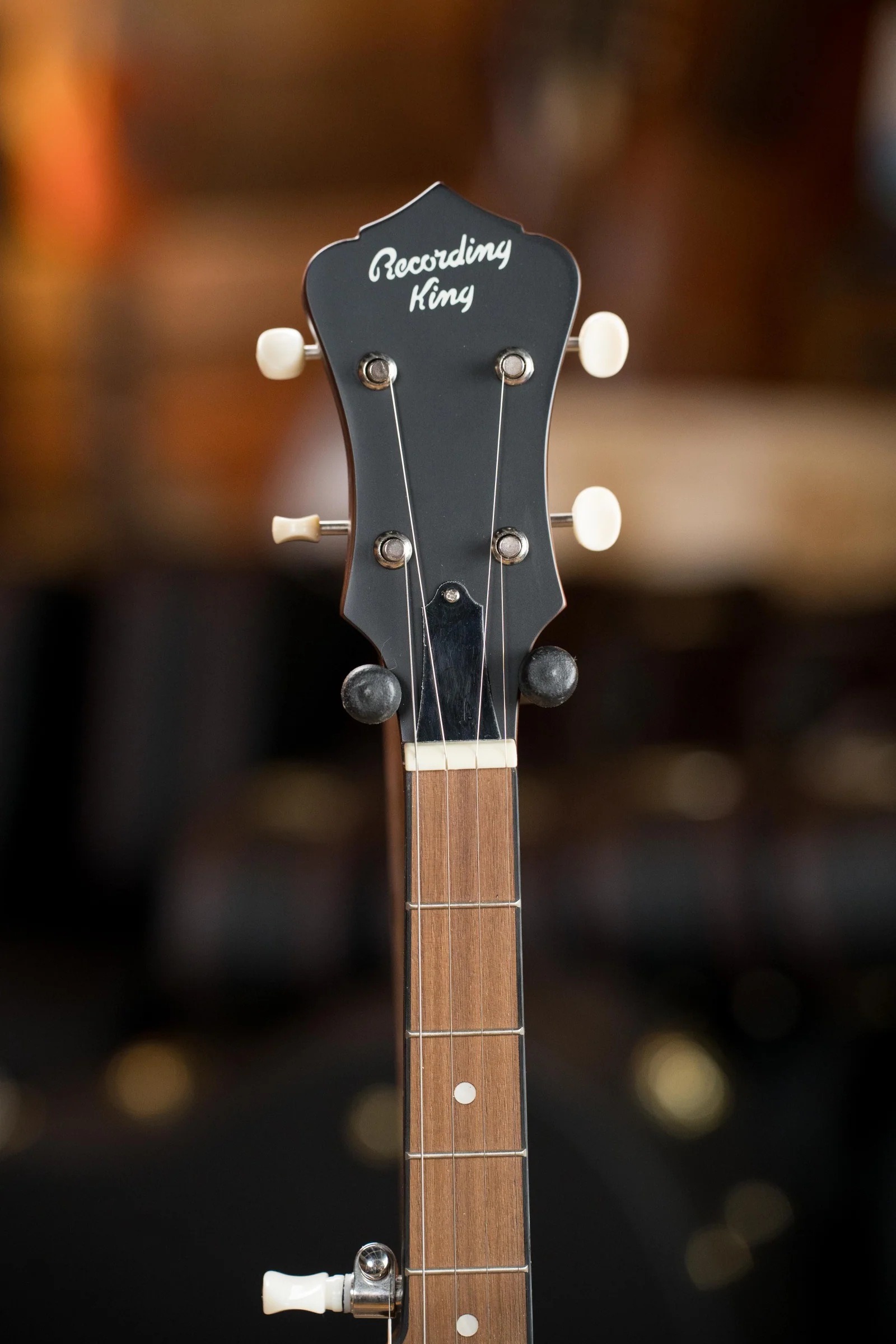 Recording King RKH-05 Dirty 30's Resonator Banjo #2638 - Image 5