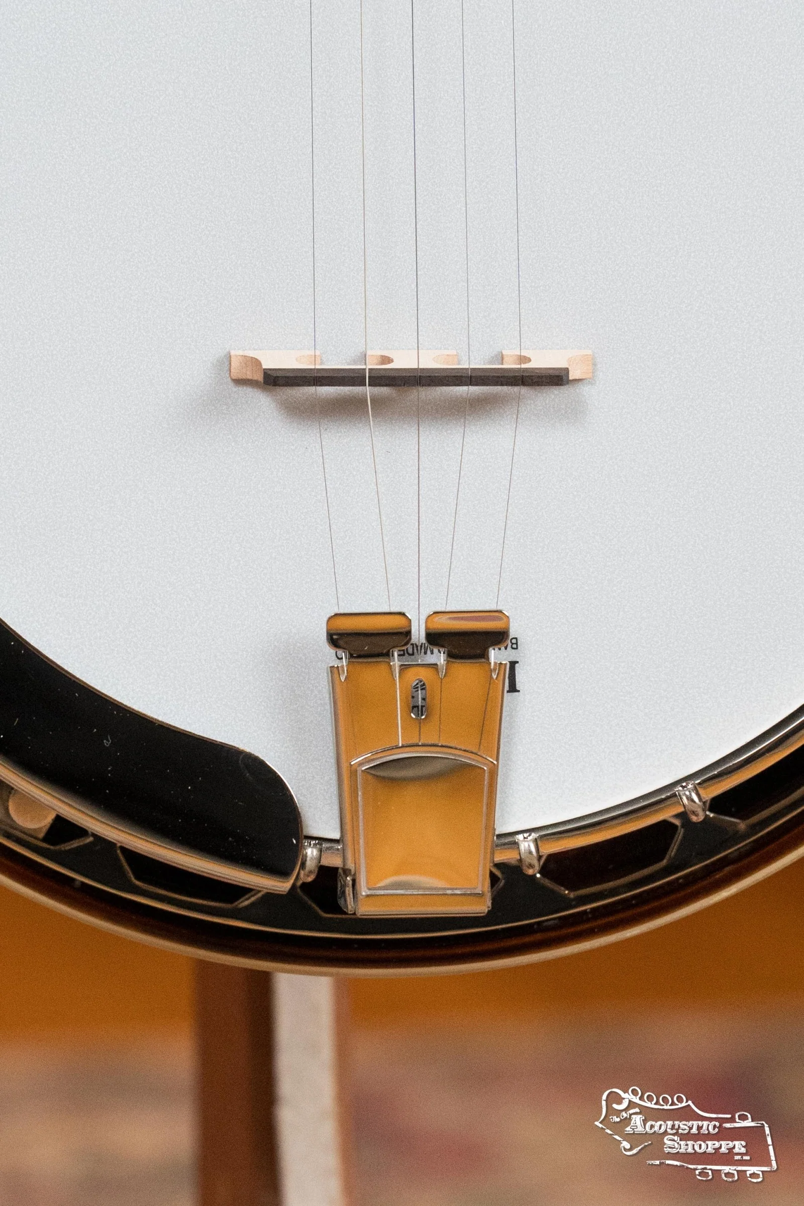 Recording King RK-R20 Songster Resonator Banjo #0647 - Image 6
