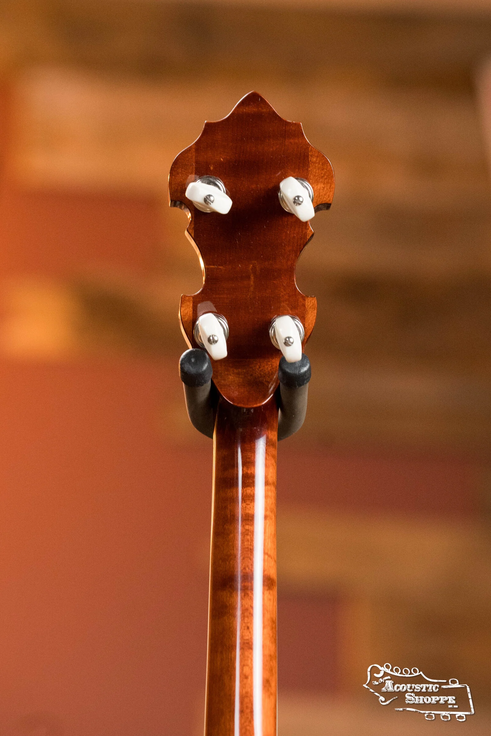 Sullivan American Classic 75 "Leaves and Bows" Pattern Mahogany Resonator Banjo #0241 - Image 13