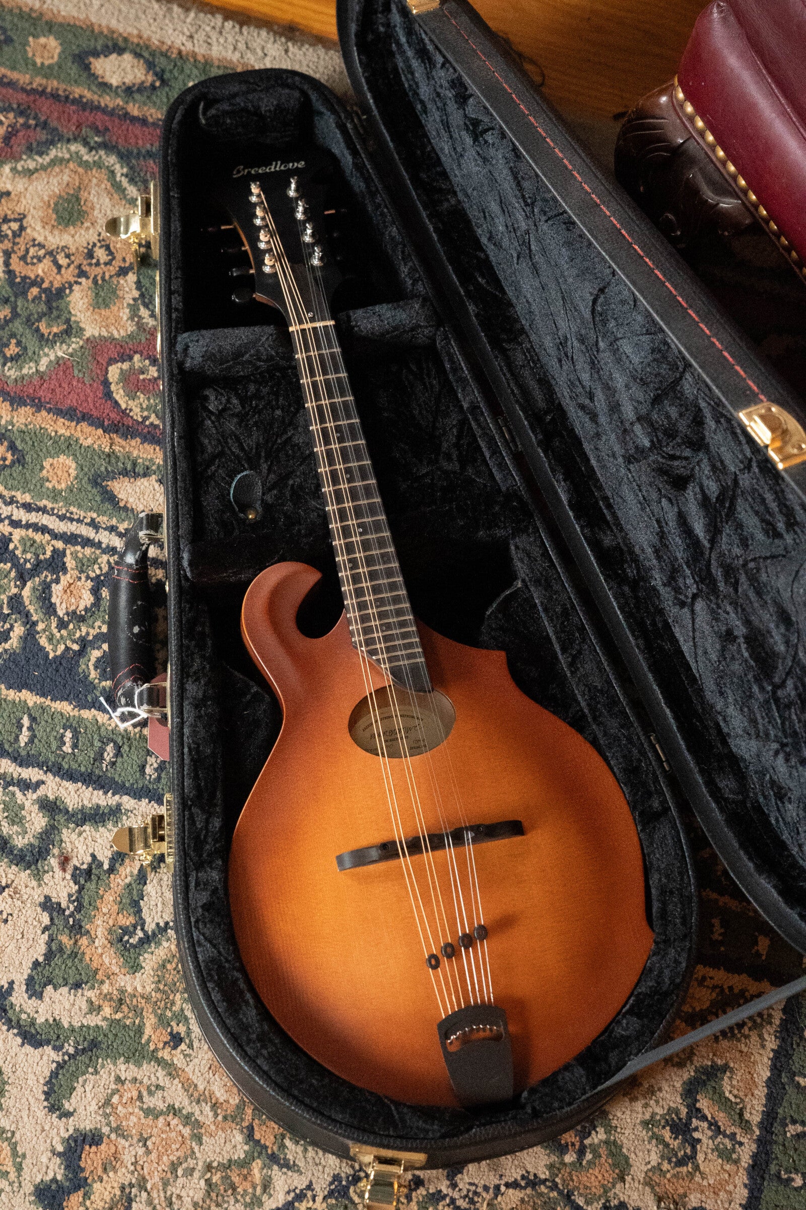 (Used) Breedlove Premier Series FO Sitka/Maple F-Style Mandolin #7858 - Image 14