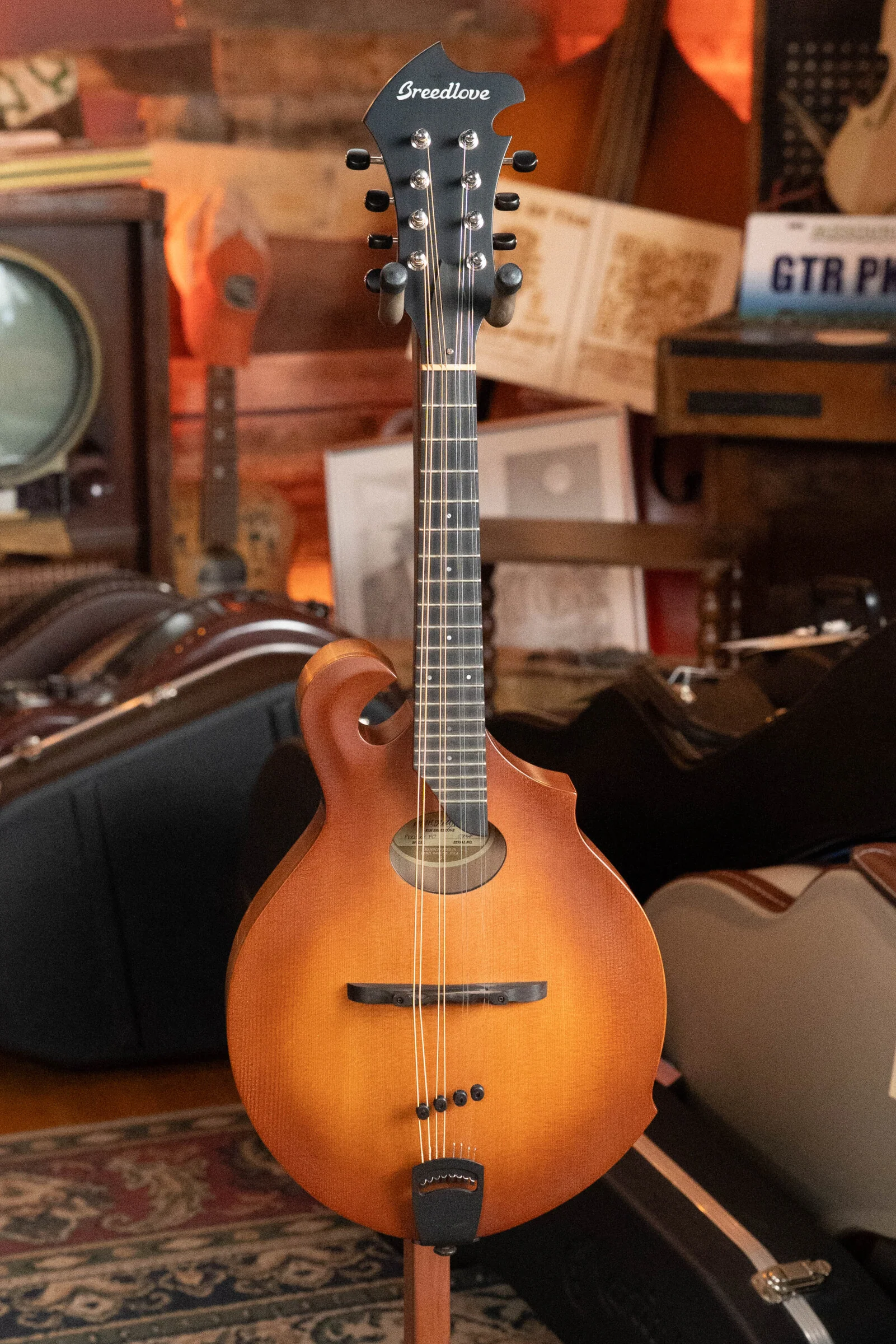 (Used) Breedlove Premier Series FO Sitka/Maple F-Style Mandolin #7858 - Image 5