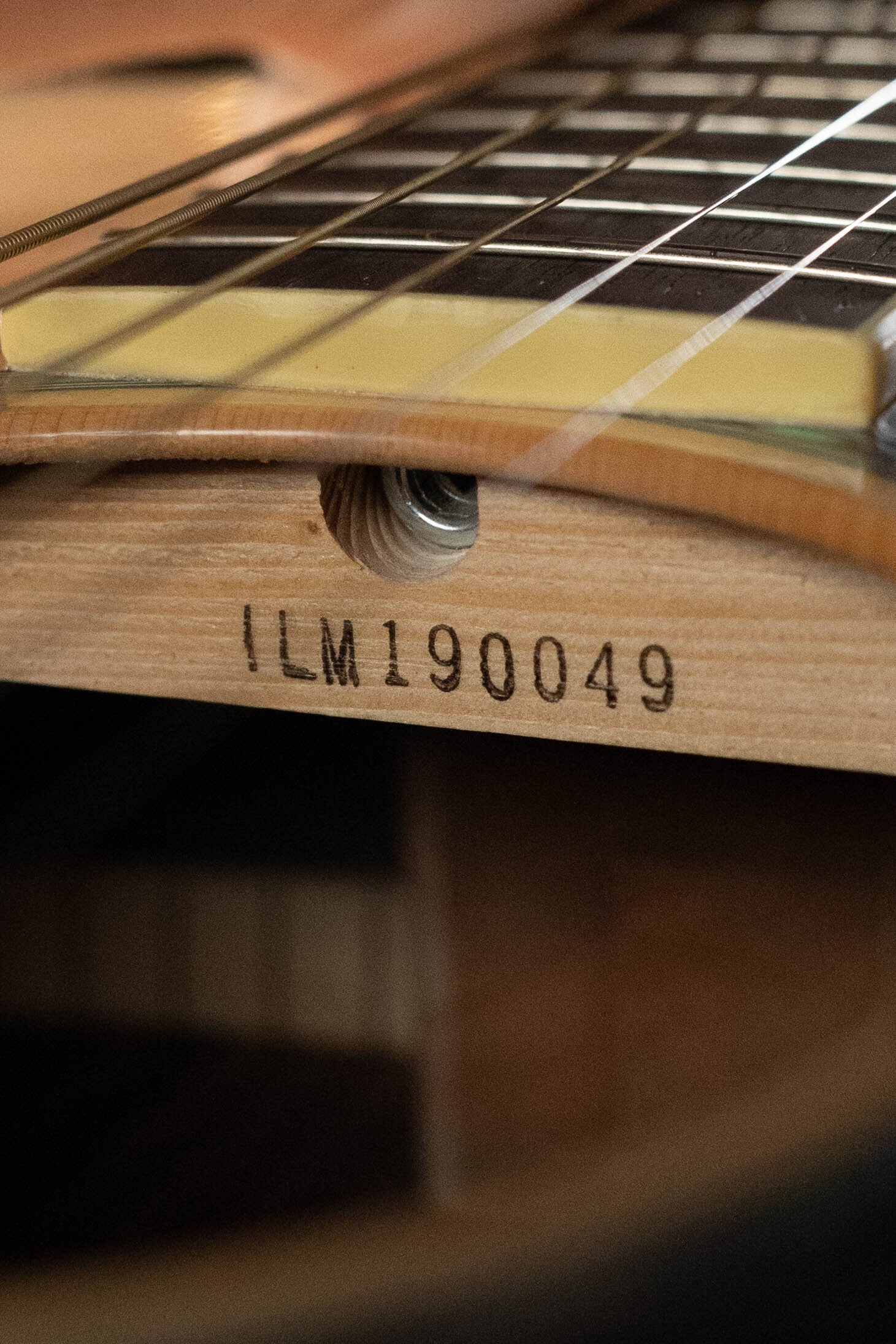 Yamaha FS830 Spruce/Rosewood Concert Body Acoustic Guitar #0049 - Image 5